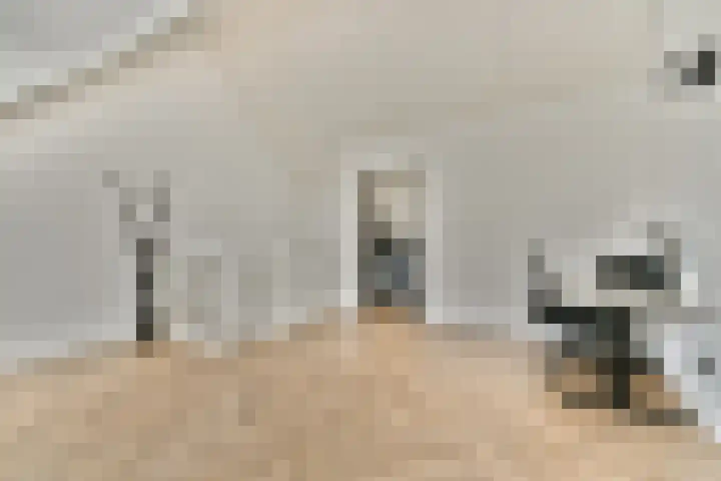 Gooise Kant 13 Amsterdam thumbnail 22