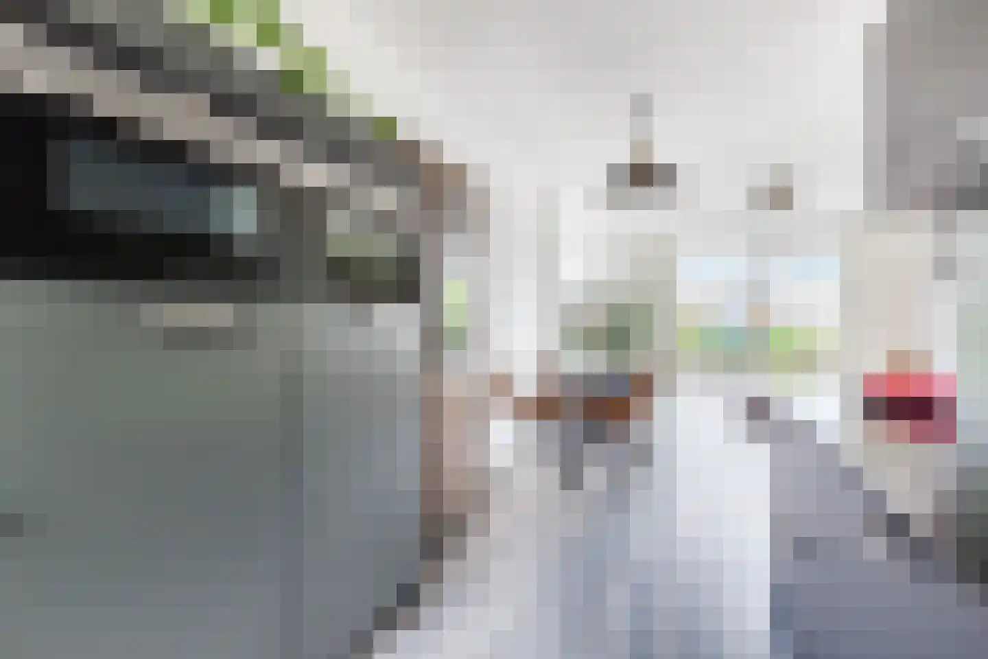 Gooise Kant 22 Amsterdam thumbnail 14