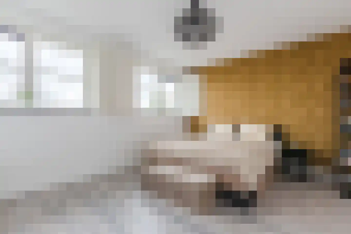 Gooise Kant 22 Amsterdam thumbnail 17