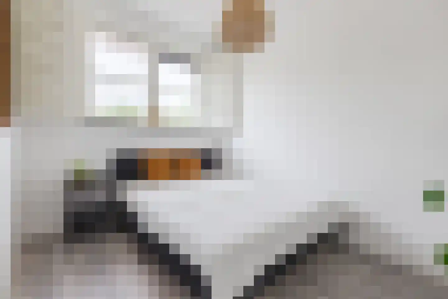 Gooise Kant 22 Amsterdam thumbnail 19