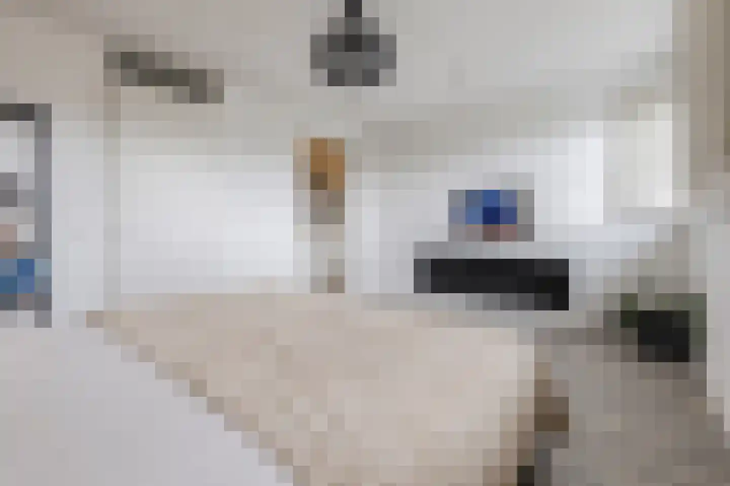 Gooise Kant 22 Amsterdam thumbnail 19