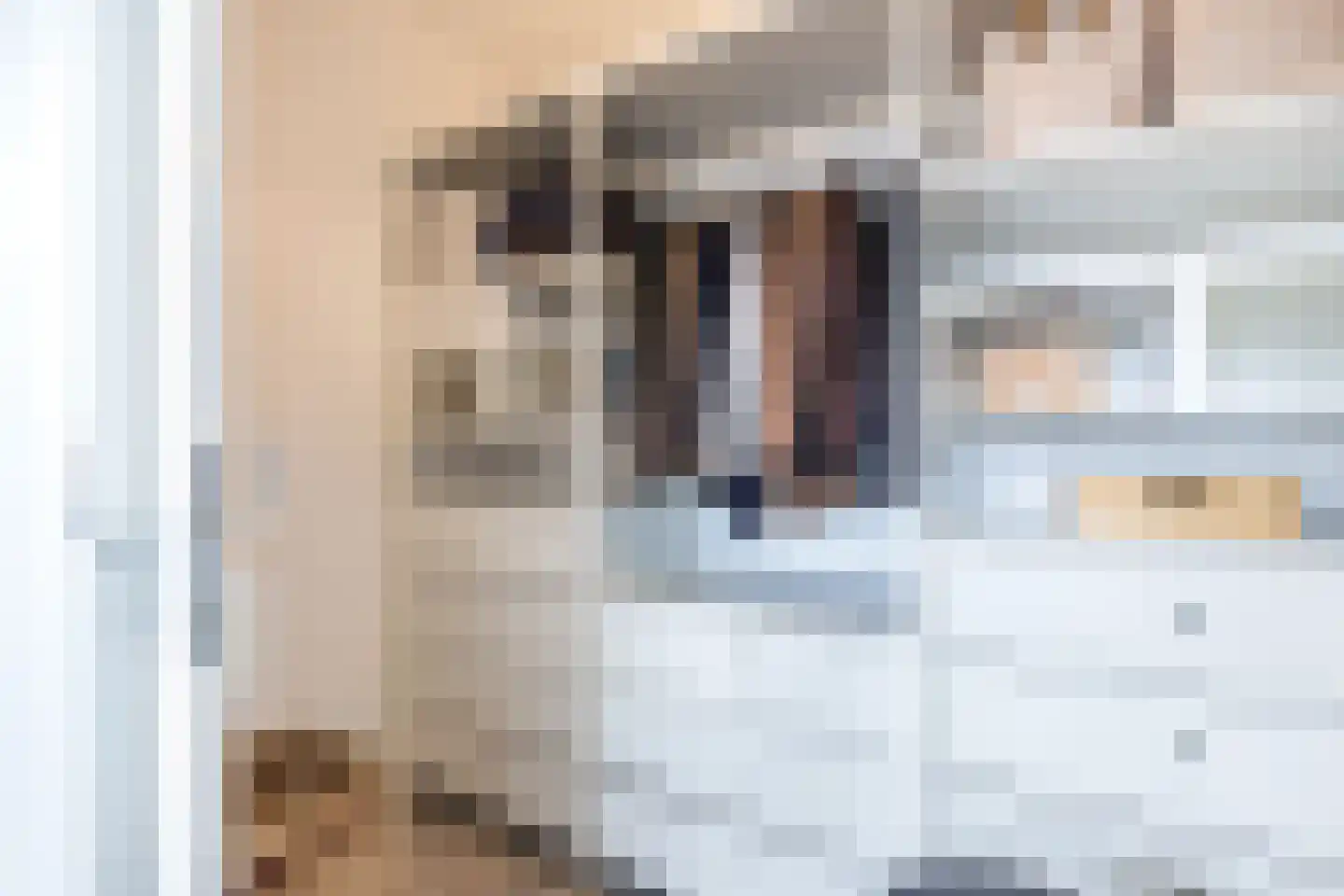 Gooise Kant 22 Amsterdam thumbnail 21