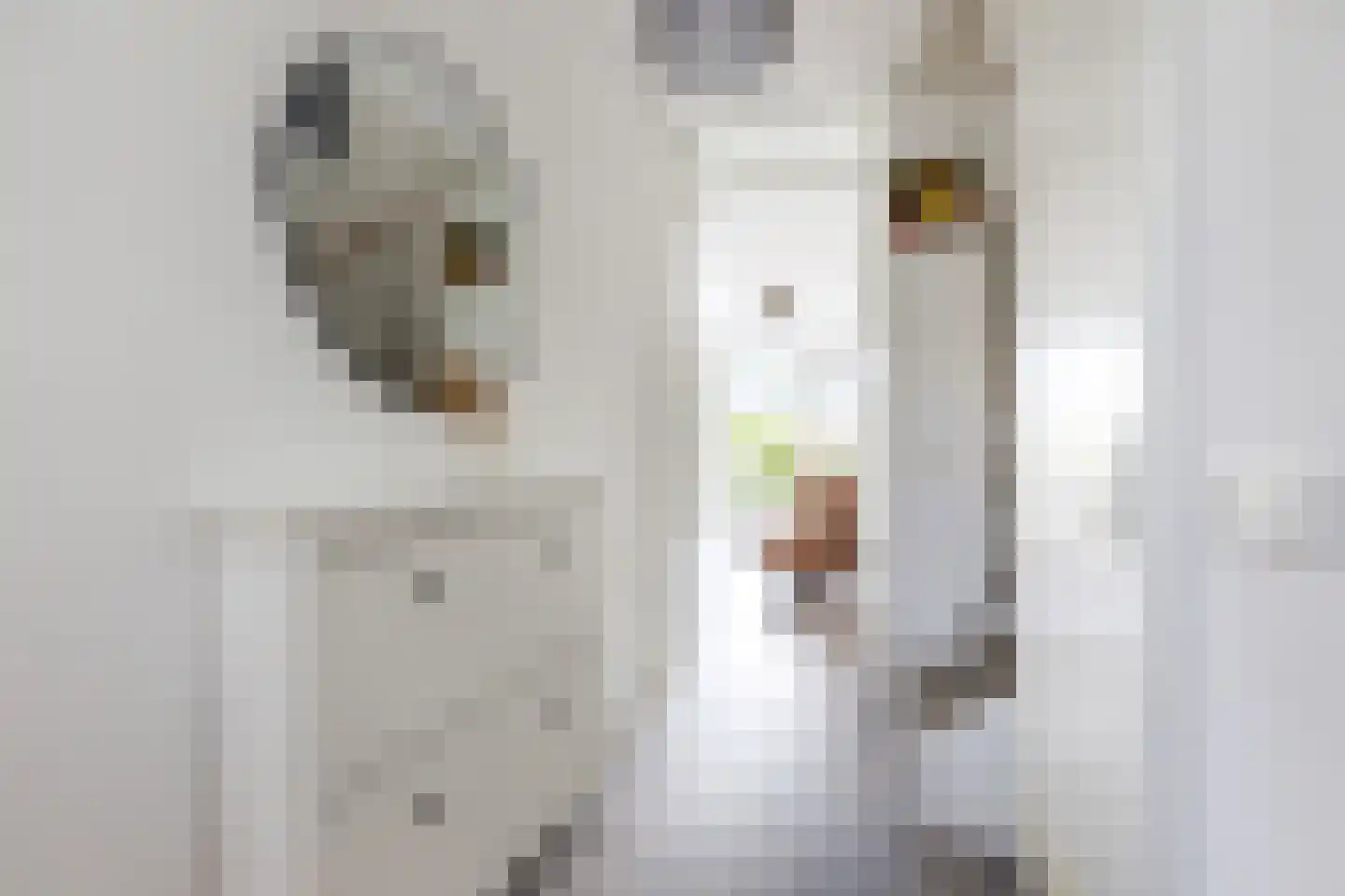 Gooise Kant 22 Amsterdam thumbnail 5