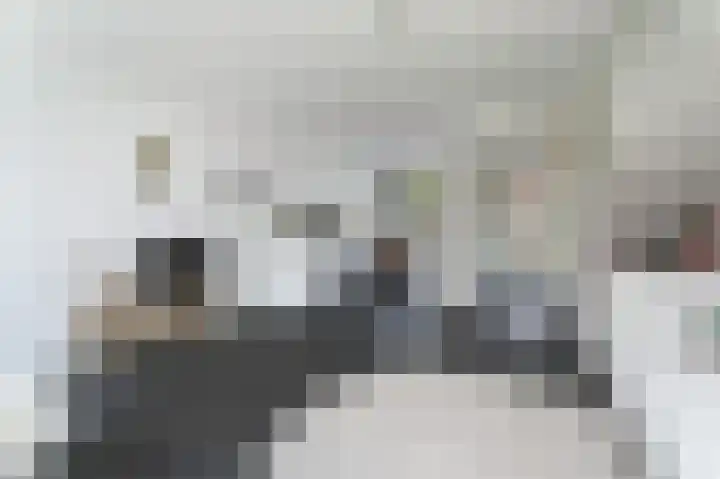 Gooise Kant 268 Amsterdam thumbnail 10