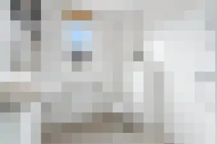 Gooise Kant 268 Amsterdam thumbnail 23
