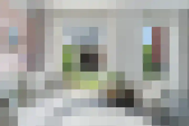 Gooise Kant 268 Amsterdam thumbnail 7