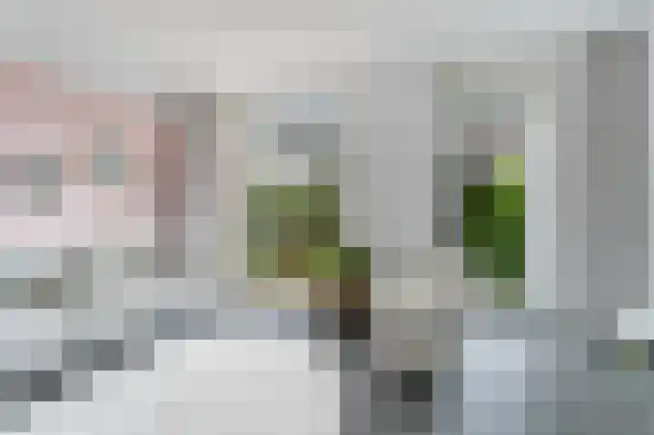 Gooise Kant 268 Amsterdam thumbnail 8