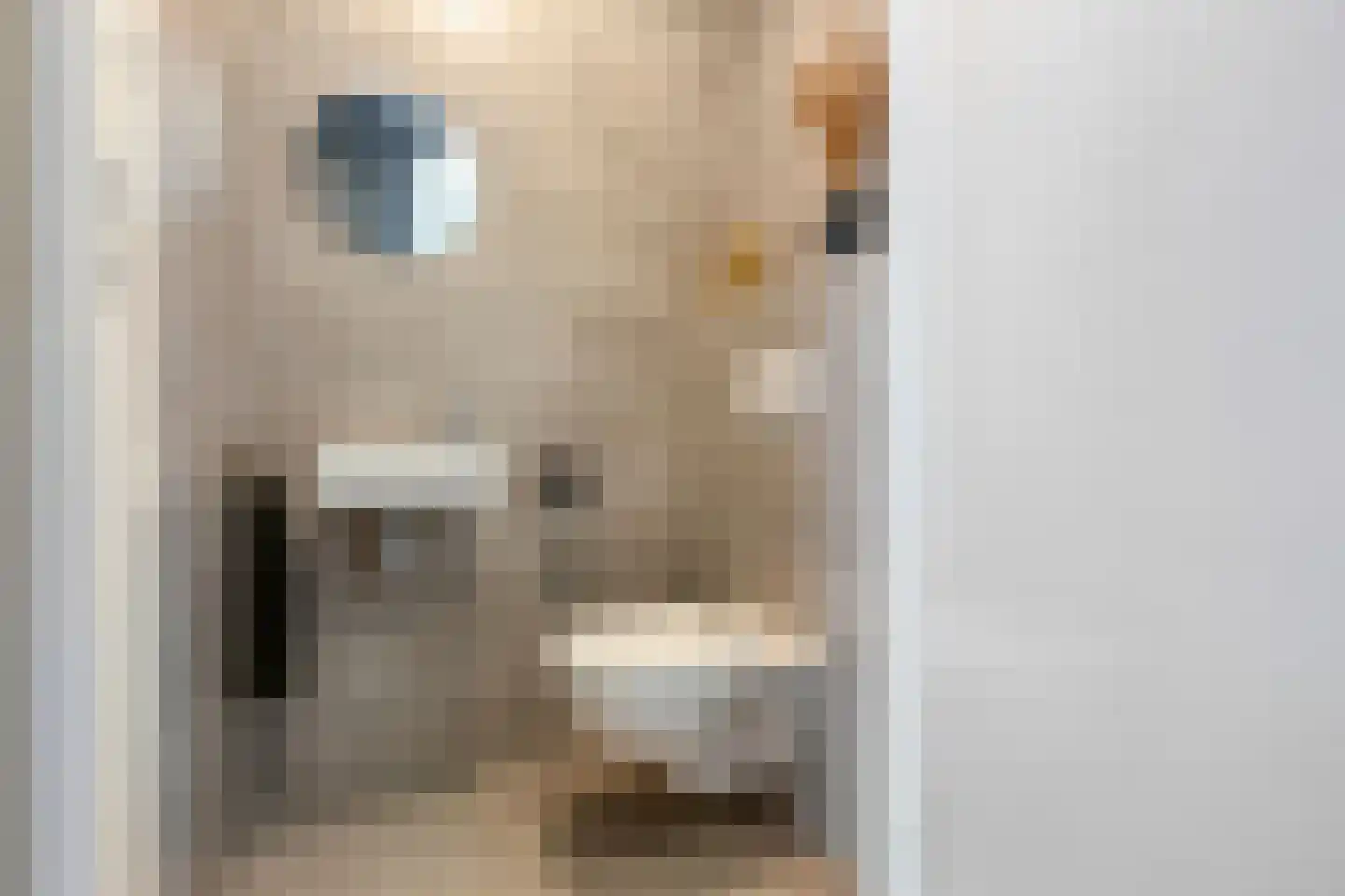 Gooise Kant 282 Amsterdam thumbnail 18
