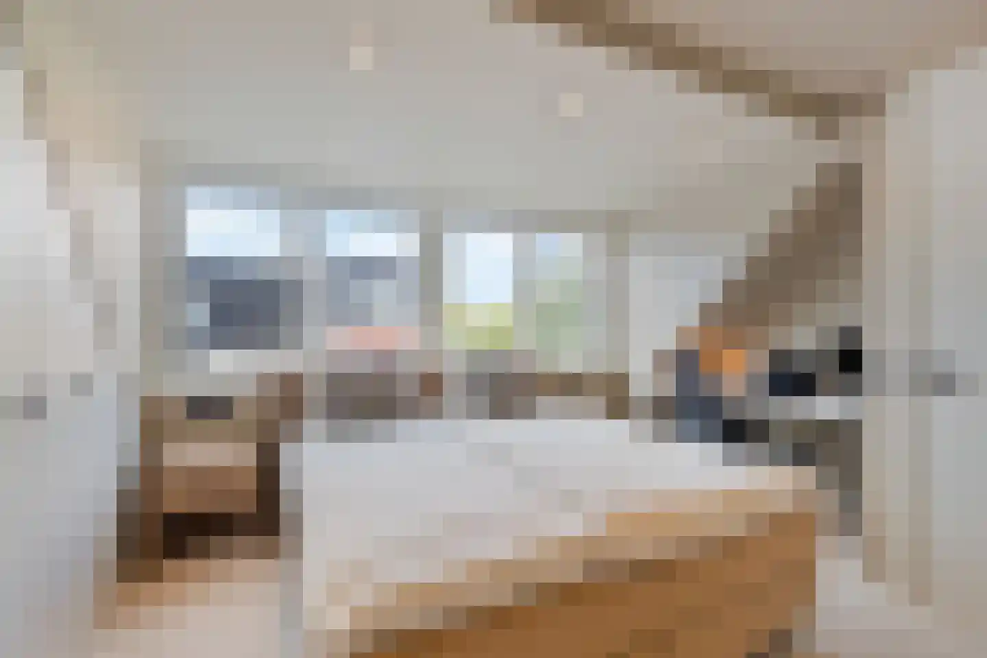 Gooise Kant 282 Amsterdam thumbnail 22