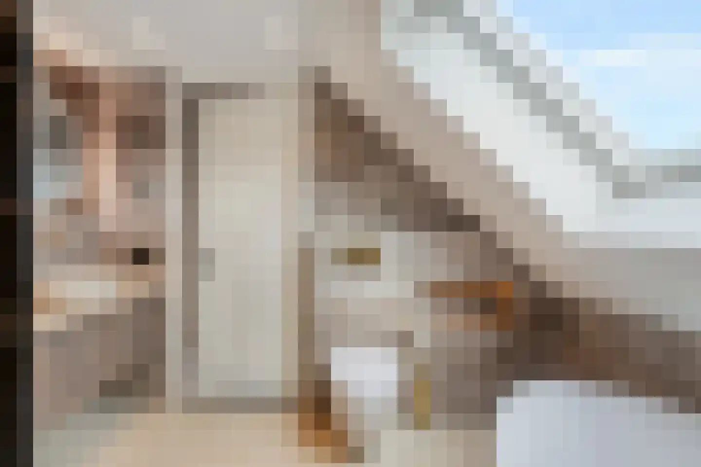 Gooise Kant 282 Amsterdam thumbnail 34