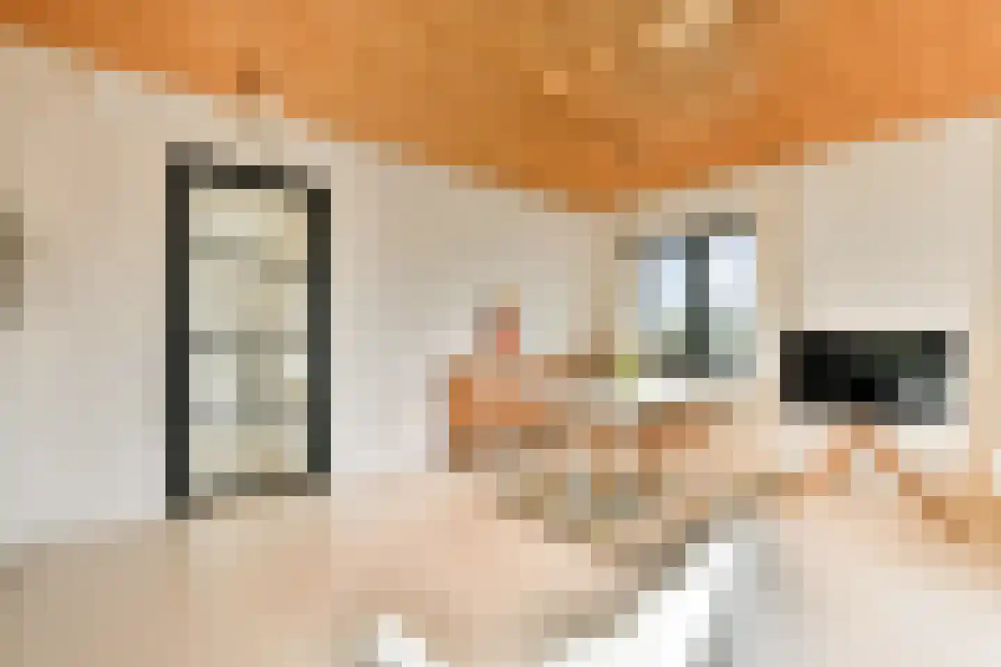 Gooise Kant 366 Amsterdam thumbnail 10