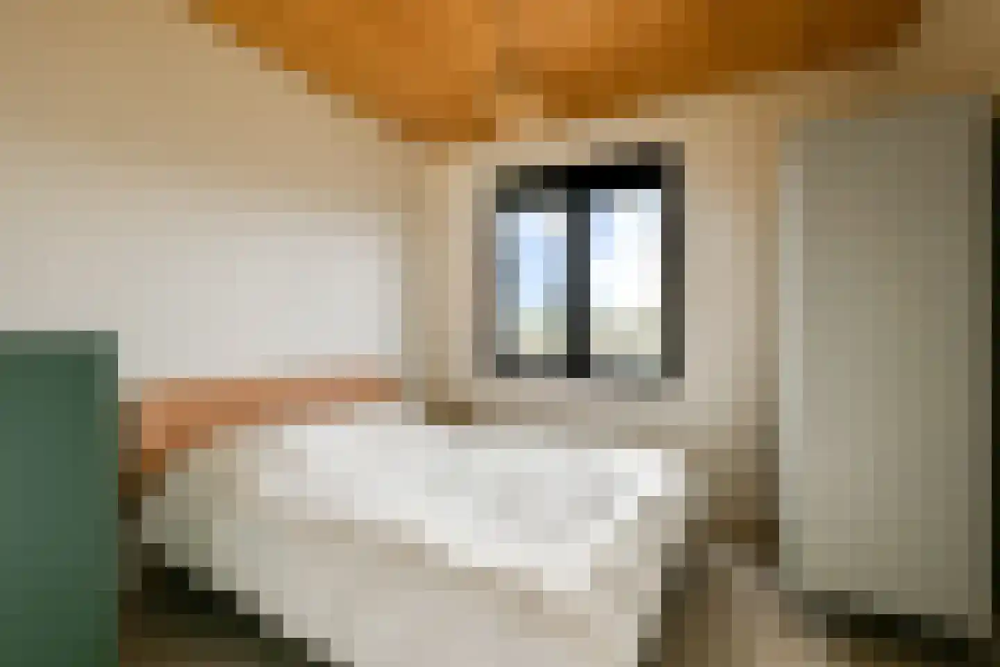 Gooise Kant 366 Amsterdam thumbnail 13