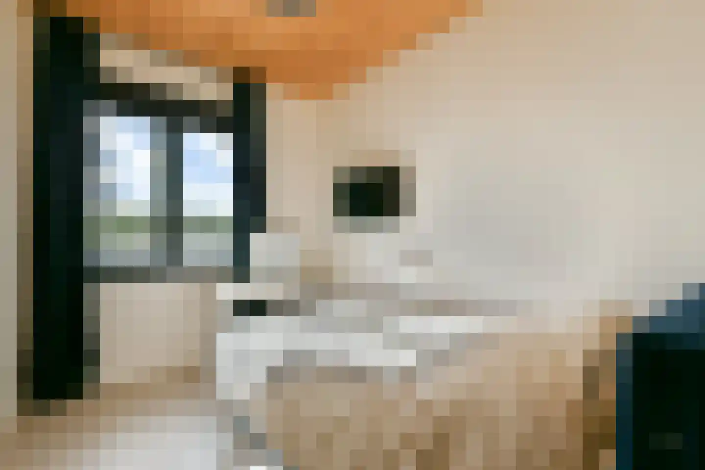 Gooise Kant 366 Amsterdam thumbnail 17