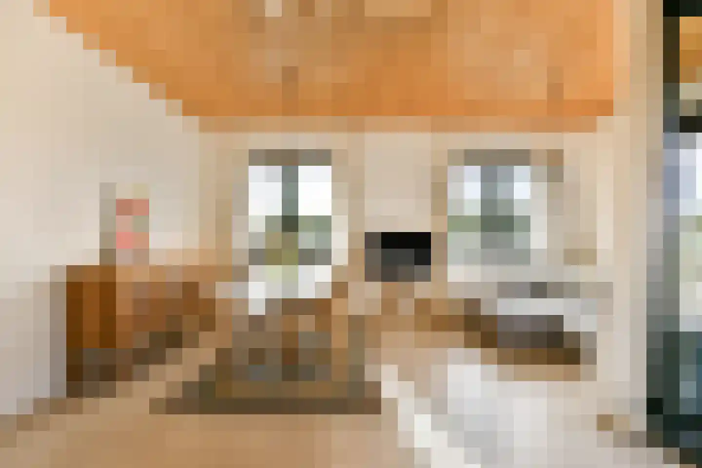 Gooise Kant 366 Amsterdam thumbnail 4