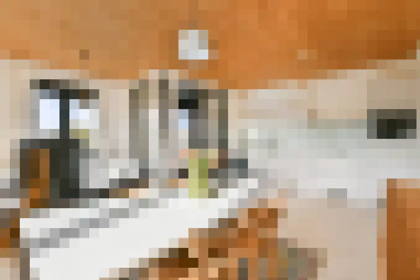 Gooise Kant 366 Amsterdam thumbnail 8