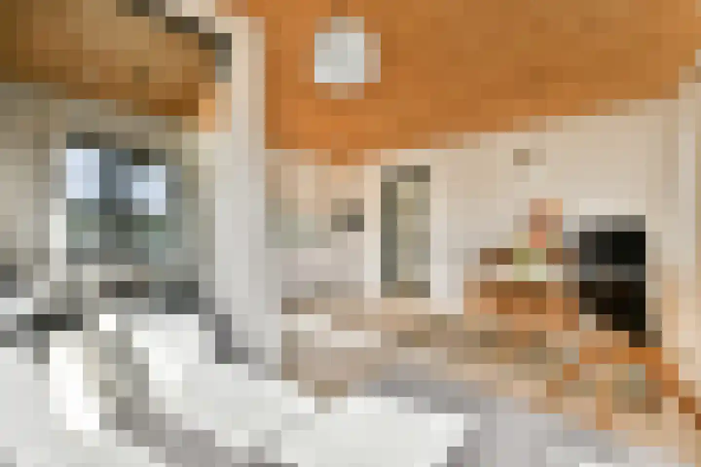 Gooise Kant 366 Amsterdam thumbnail 9