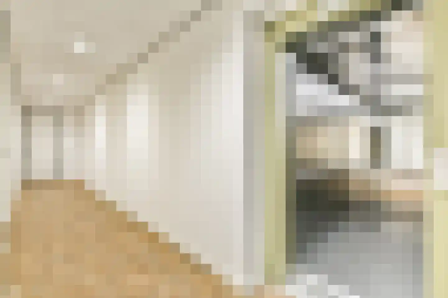 Gooise Kant 374 Amsterdam thumbnail 18