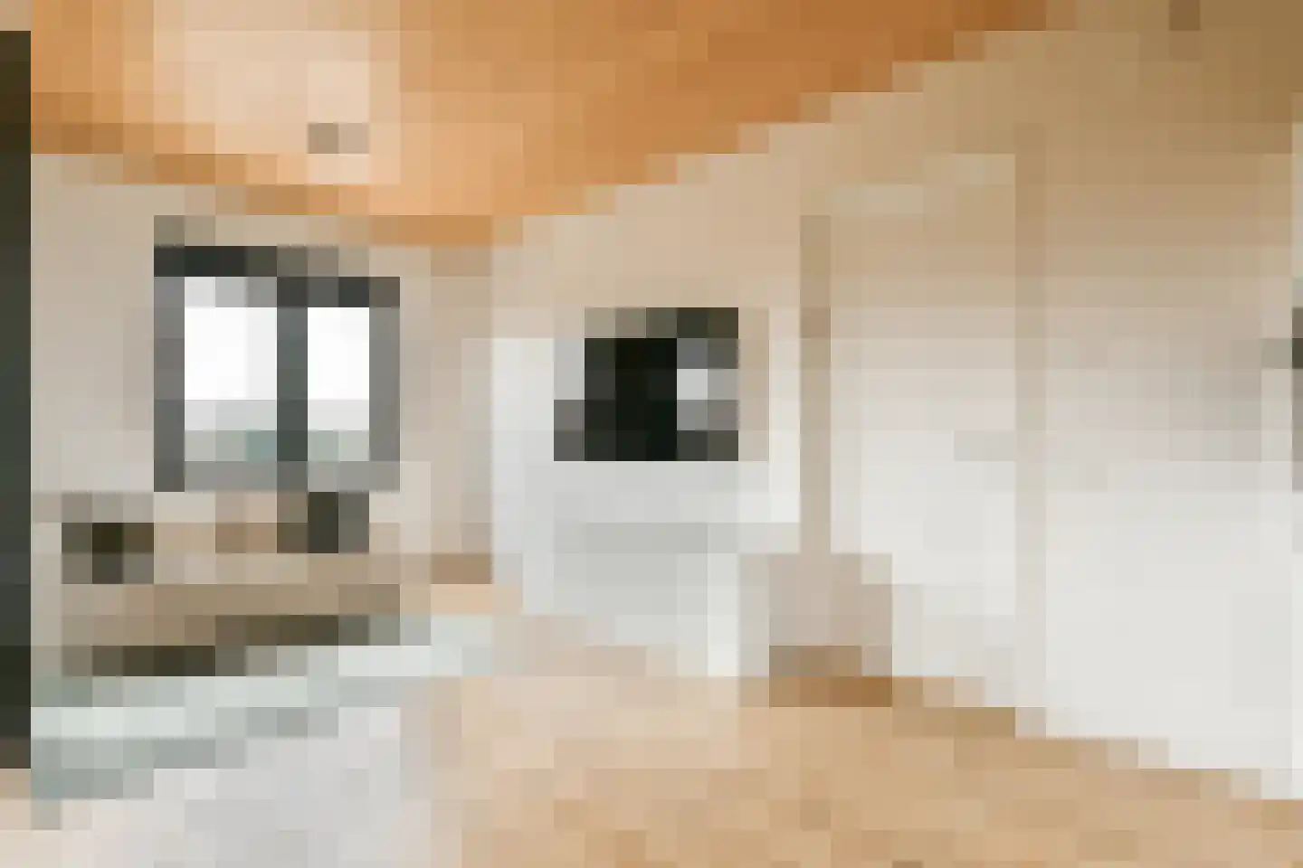 Gooise Kant 374 Amsterdam thumbnail 4