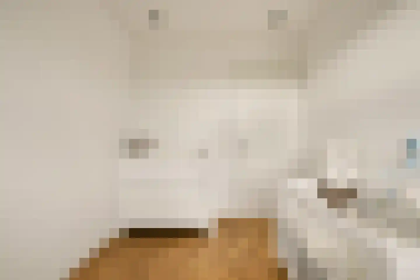 Gooise Kant 408 Amsterdam thumbnail 21