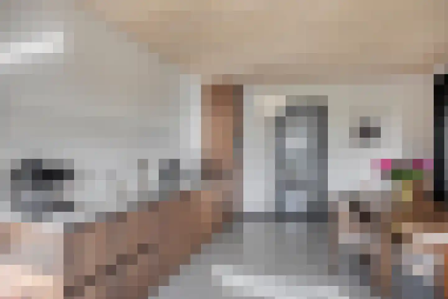 Gooise Kant 420 Amsterdam thumbnail 27