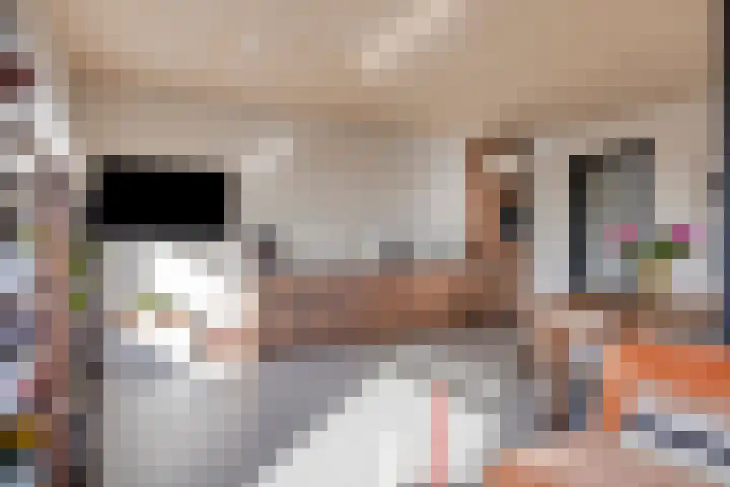 Gooise Kant 420 Amsterdam thumbnail 5