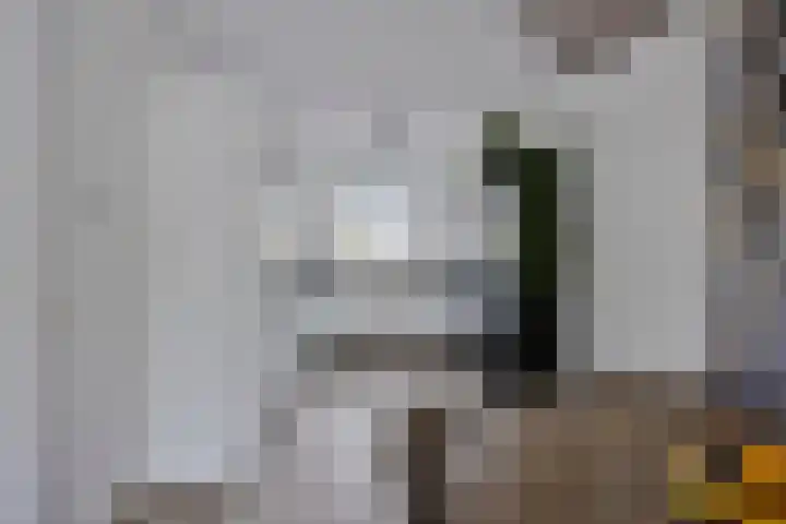 Gooise Kant 65 Amsterdam thumbnail 12