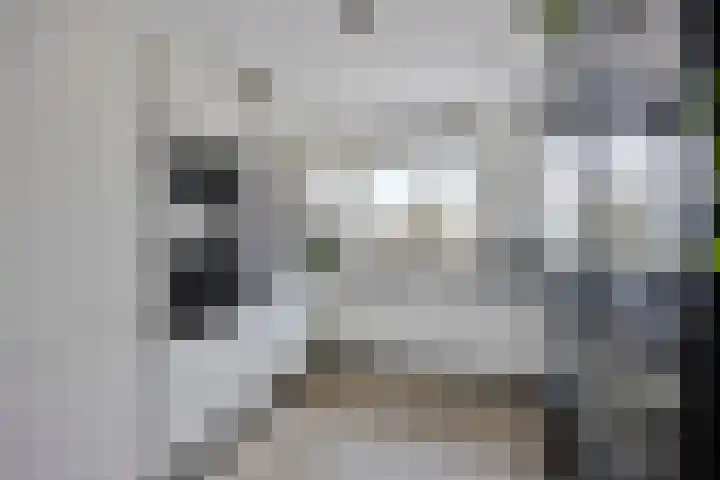 Gooise Kant 65 Amsterdam thumbnail 13