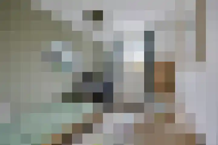 Gooise Kant 65 Amsterdam thumbnail 19