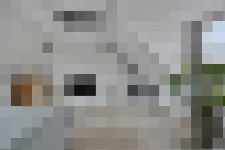Gooise Kant 65 Amsterdam thumbnail 24