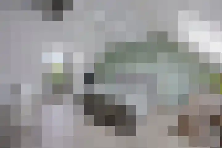 Gooise Kant 65 Amsterdam thumbnail 25