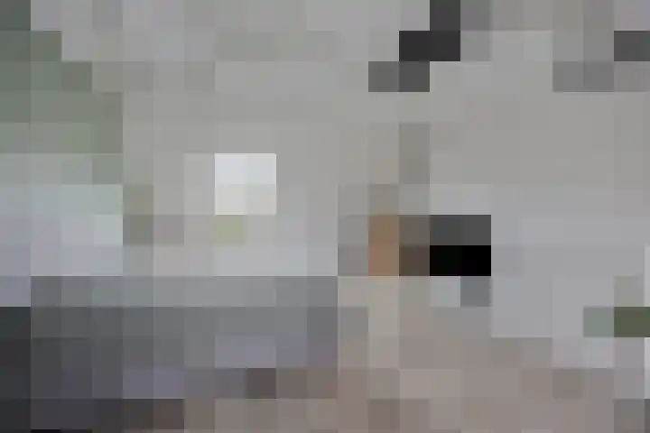 Gooise Kant 65 Amsterdam thumbnail 26