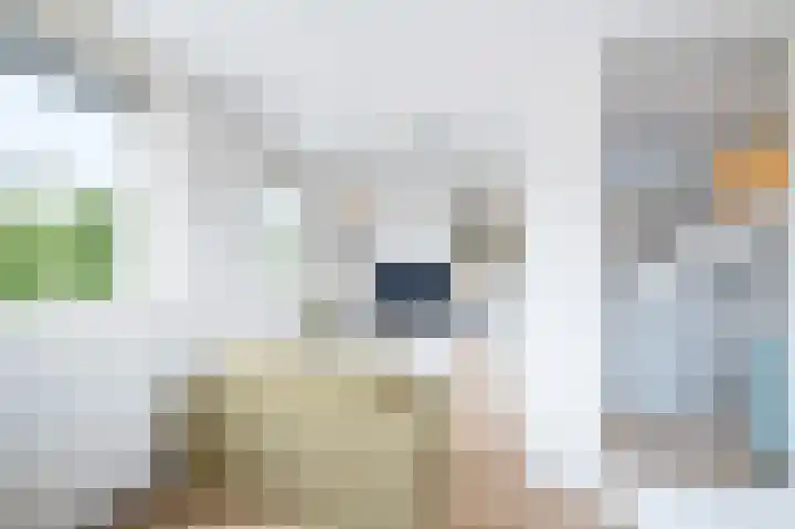 Gooise Kant 68 Amsterdam thumbnail 20