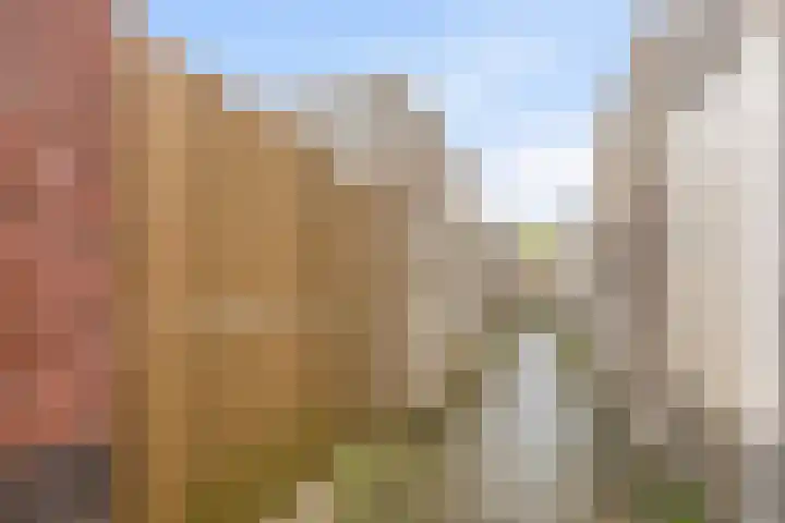 Gooise Kant 85 Amsterdam thumbnail 18