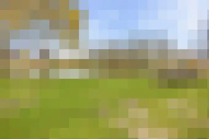 Gooise Kant 85 Amsterdam thumbnail 33