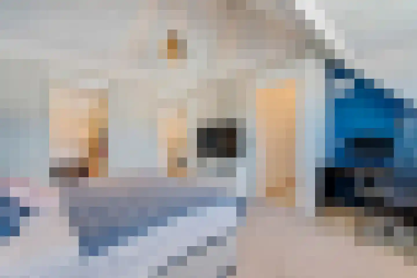 Gooise Kant 87 Amsterdam thumbnail 42