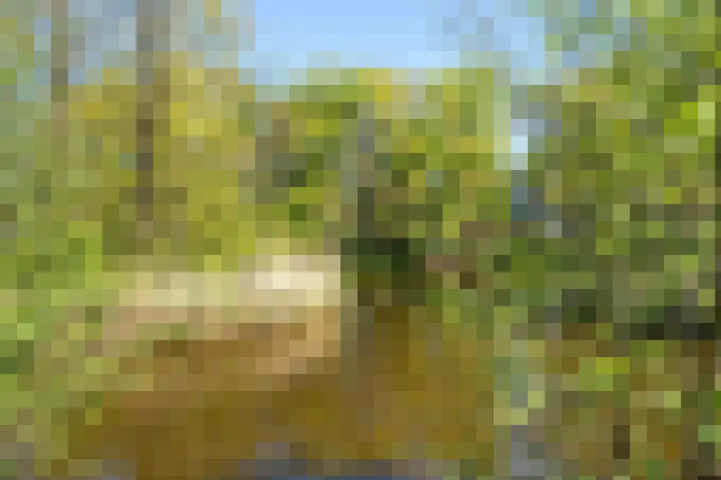 Gooise Kant 87 Amsterdam thumbnail 52