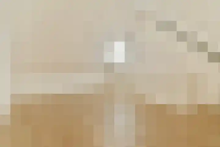 Gooise Kant 89 Amsterdam thumbnail 22