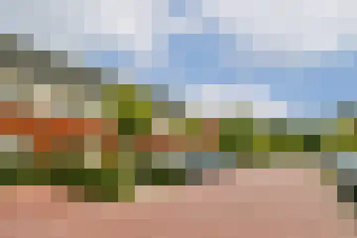 Gooise Kant 89 Amsterdam thumbnail 23