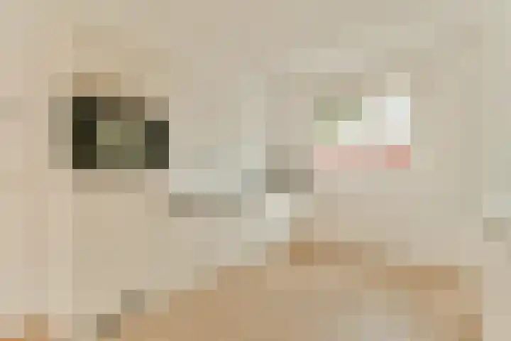 Gooise Kant 89 Amsterdam thumbnail 9