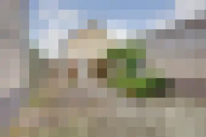 Gooisehof 158 Helmond thumbnail 22