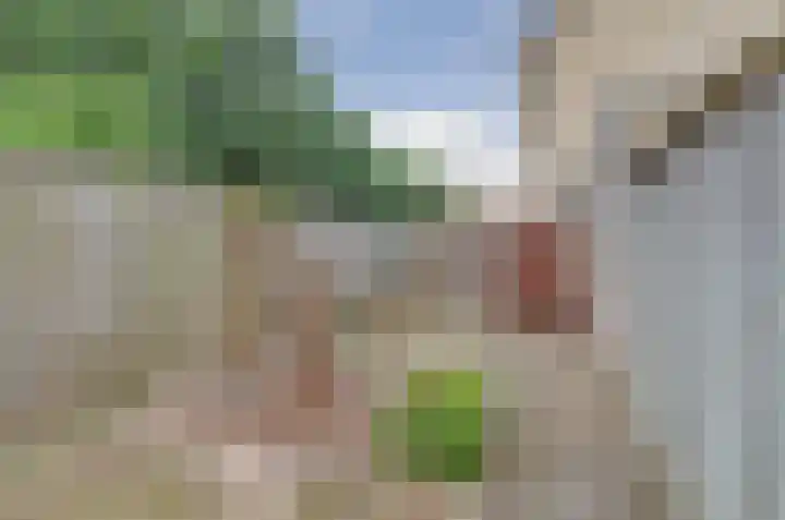 Gooisehof 158 Helmond thumbnail 24