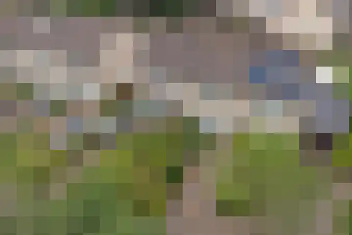 Gooisehof 158 Helmond thumbnail 26
