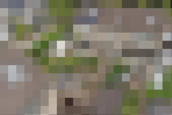 Gooisehof 158 Helmond thumbnail 28