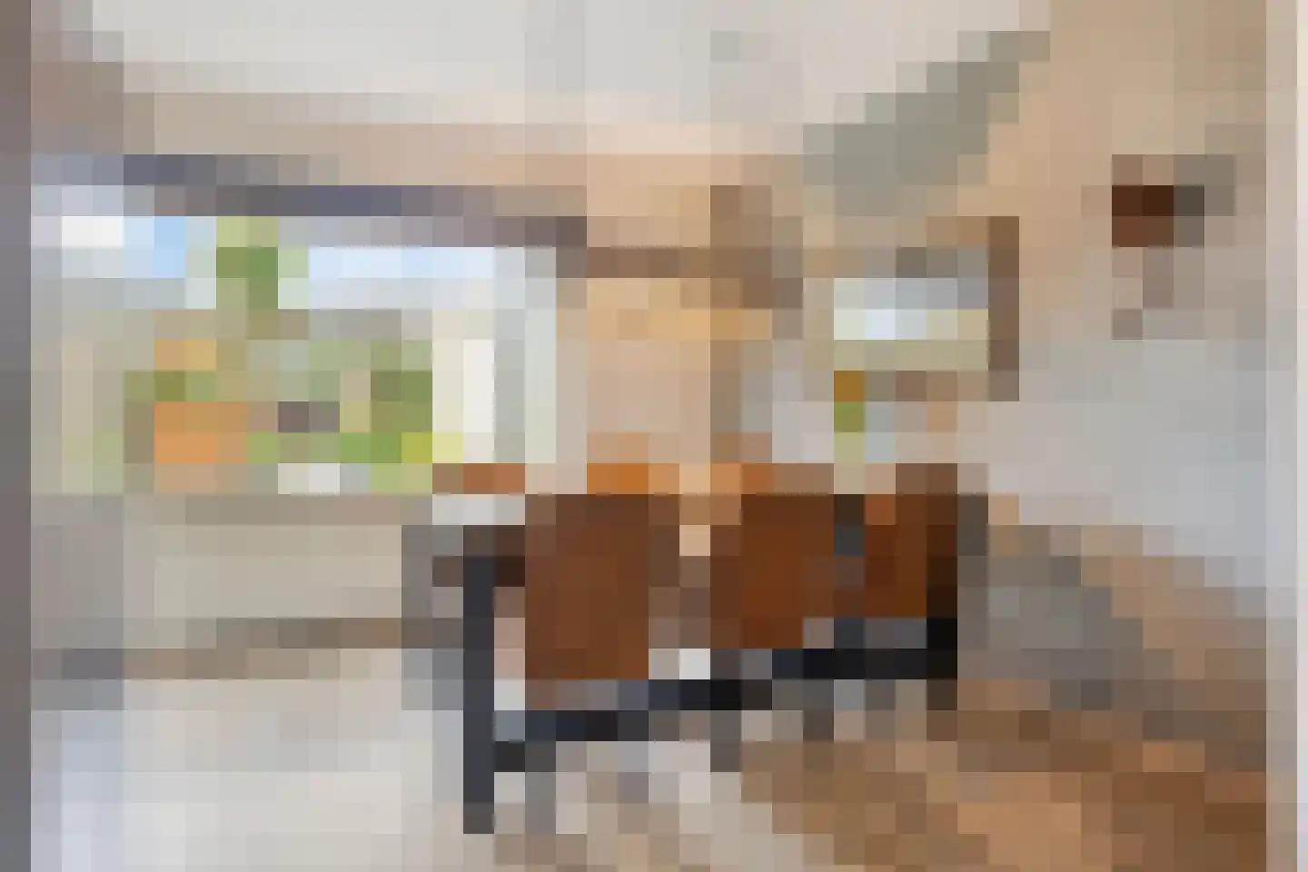 Gooisehof 32 Helmond thumbnail 16