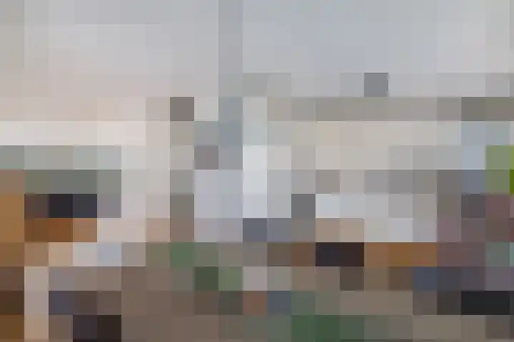 Gooisekust 72 Huizen thumbnail 10