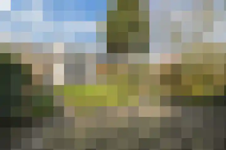 Gooisekust 72 Huizen thumbnail 15