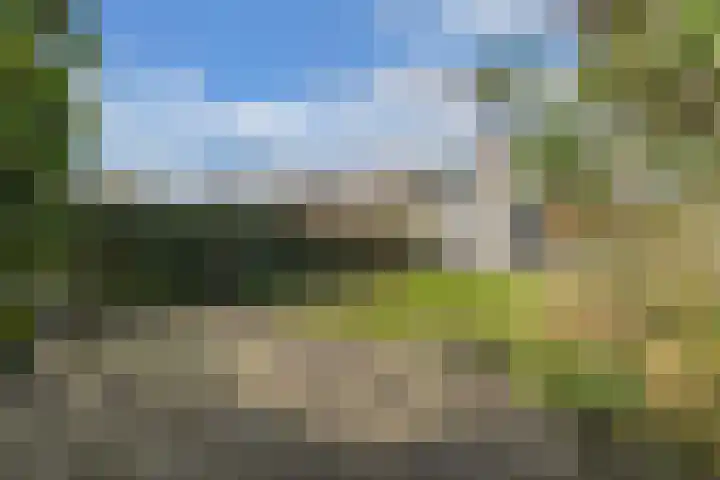 Gooisekust 72 Huizen thumbnail 16