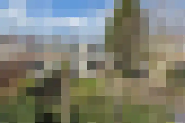 Gooisekust 72 Huizen thumbnail 17