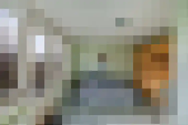 Gooisekust 72 Huizen thumbnail 20