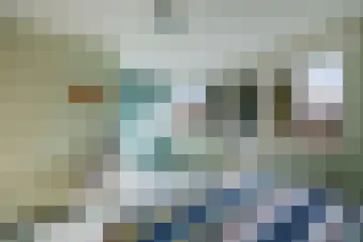Gooisekust 72 Huizen thumbnail 21